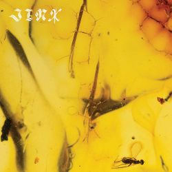 Crumb – Jinx [iTunes Plus AAC M4A]