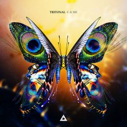Tritonal – U & Me [iTunes Plus AAC M4A]