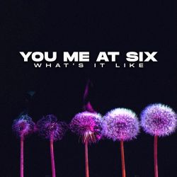 You Me At Six – What’s It Like – Single [iTunes Plus AAC M4A]