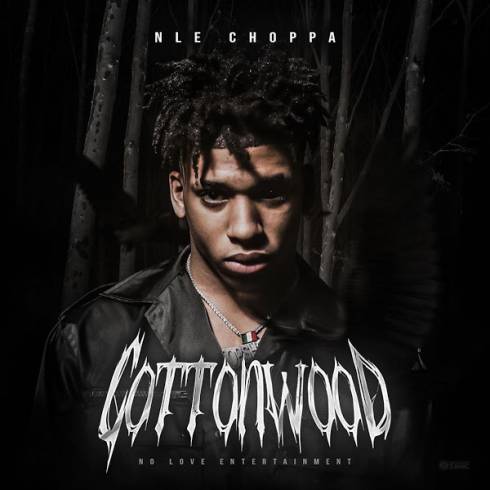 NLE Choppa – Cottonwood (320 kbps)