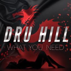 Dru Hill – What You Need – Single [iTunes Plus AAC M4A]