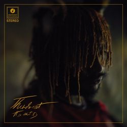 Thundercat – It Is What It Is [iTunes Plus AAC M4A]
