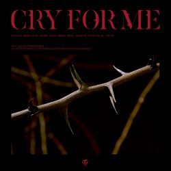 TWICE – CRY FOR ME – Single [iTunes Plus AAC M4A]