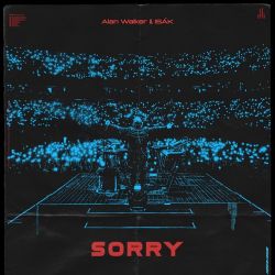 Alan Walker – Sorry (feat. ISÁK) – Single [iTunes Plus AAC M4A]
