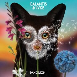 Galantis & JVKE – Dandelion – Single [iTunes Plus AAC M4A]