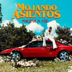 Maluma – Mojando Asientos (feat. Feid) – Single [iTunes Plus AAC M4A]