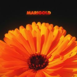 Alex Isley & Jack Dine – Marigold [iTunes Plus AAC M4A]
