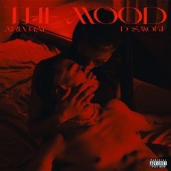 Arin Ray – The Mood (feat. D Smoke) – Single [iTunes Plus AAC M4A]