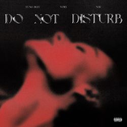 Vory – Do Not Disturb (feat. NAV & Yung Bleu) – Single [iTunes Plus AAC M4A]