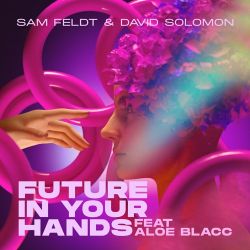 Sam Feldt & David Solomon – Future In Your Hands (feat. Aloe Blacc) – Single [iTunes Plus AAC M4A]
