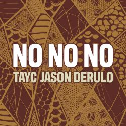 Tayc & Jason Derulo – No No No – Single [iTunes Plus AAC M4A]