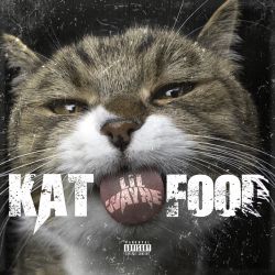 Lil Wayne – Kat Food – Single [iTunes Plus AAC M4A]