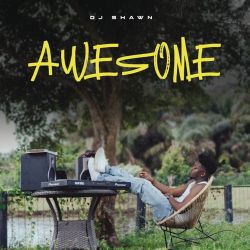 DJ Shawn – AWESOME (EP) [iTunes Plus AAC M4A]