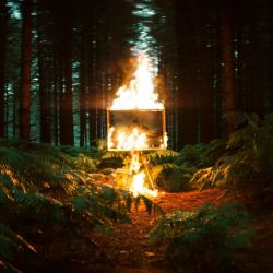 Tom Walker – Burn – Single [iTunes Plus AAC M4A]