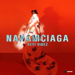 Seyi Vibez – NAHAMciaga – EP [iTunes Plus AAC M4A]