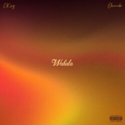 CKay – Wahala (feat. Olamide) – Single [iTunes Plus AAC M4A]