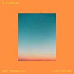Lost Frequencies & David Kushner – In My Bones – Single [iTunes Plus AAC M4A]