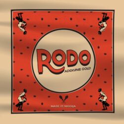 Adekunle Gold – Rodo – Single [iTunes Plus AAC M4A]