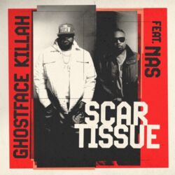 Ghostface Killah & Nas – Scar Tissue – Single [iTunes Plus AAC M4A]